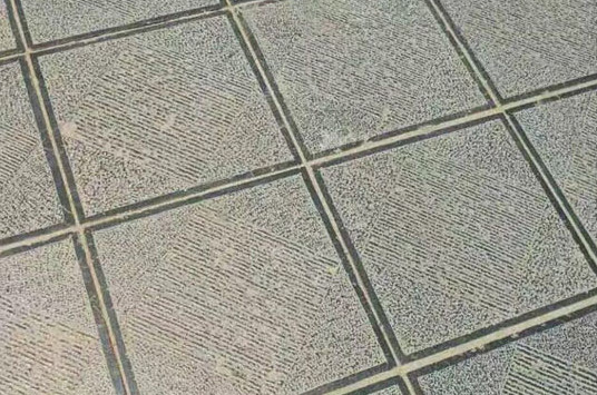 山东嘉祥青石板名扬天下 欢迎古建石材工程商的青石板订单